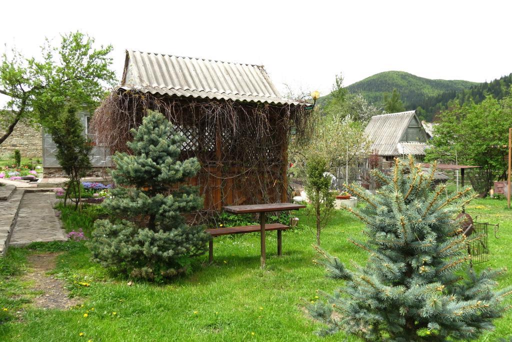 Bilyy Kamin Guest House Tatariv Extérieur photo